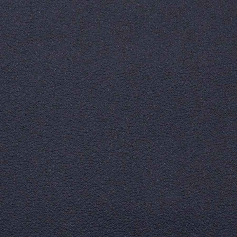 vitalityArmada vitalityArmada